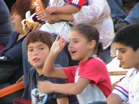 Click en la im&aacute;gen para ir al Indice de la secci&oacute;n